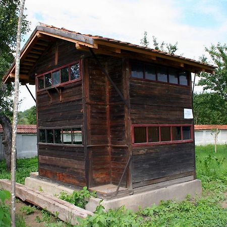 Transylvania Guesthouses Cincşor エクステリア 写真