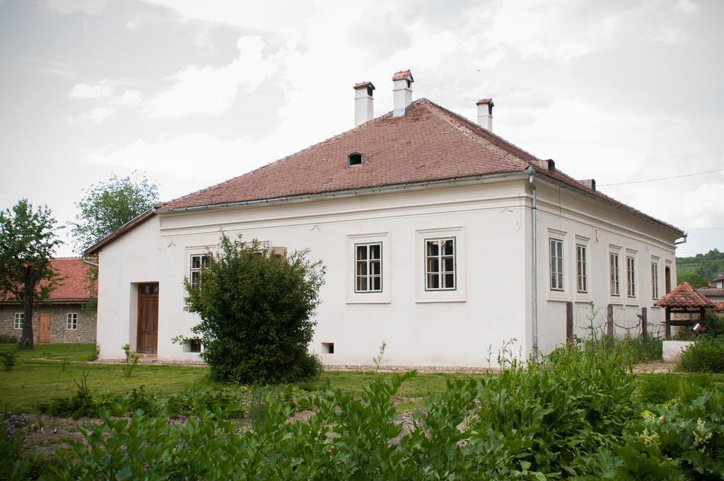 Transylvania Guesthouses Cincşor エクステリア 写真