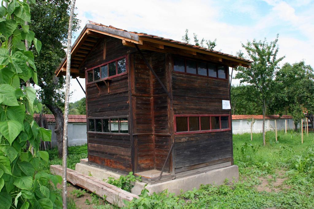 Transylvania Guesthouses Cincşor エクステリア 写真