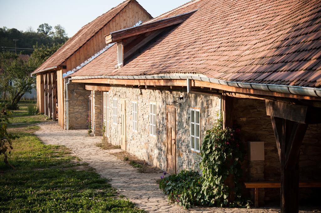 Transylvania Guesthouses Cincşor エクステリア 写真