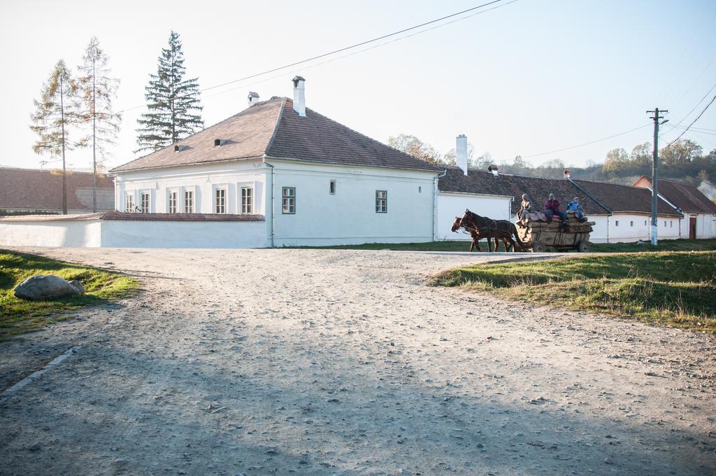 Transylvania Guesthouses Cincşor エクステリア 写真